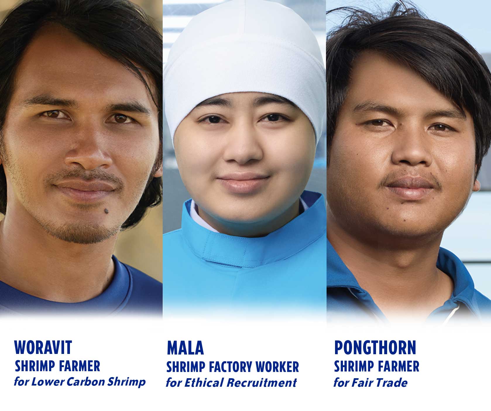 Faces of Sea Change